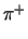 $ \pi^{+}_{}$