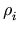 $ \rho_{i}^{}$