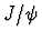 $J/\psi$