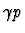 $\gamma p$