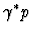 $\gamma^* p$